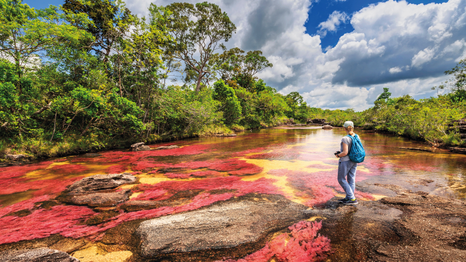 Imagen de circuito en Colombia - Caño Cristales