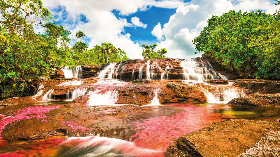 Imagen de circuito en Colombia - Caño Cristales