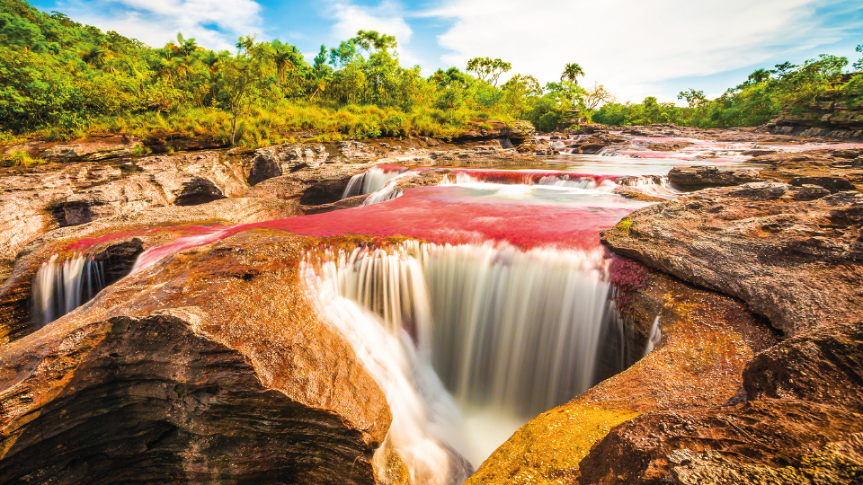 Imagen de circuito en Colombia - Caño Cristales