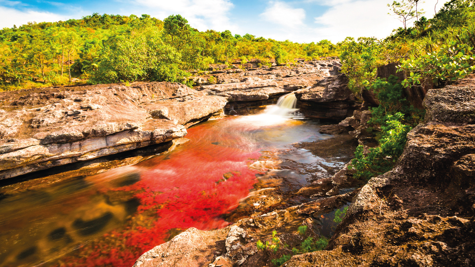 Imagen de circuito en Colombia - Caño Cristales