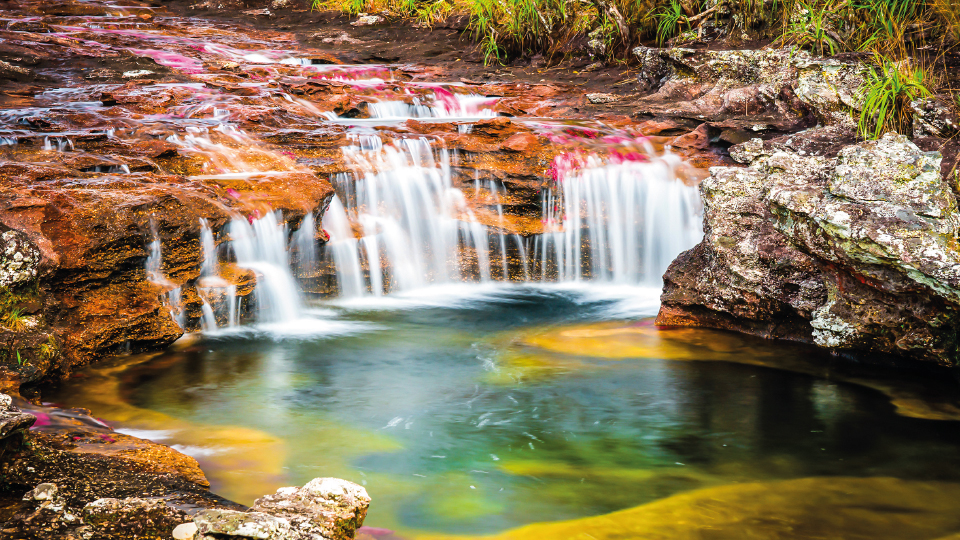 Imagen de circuito en Colombia - Caño Cristales