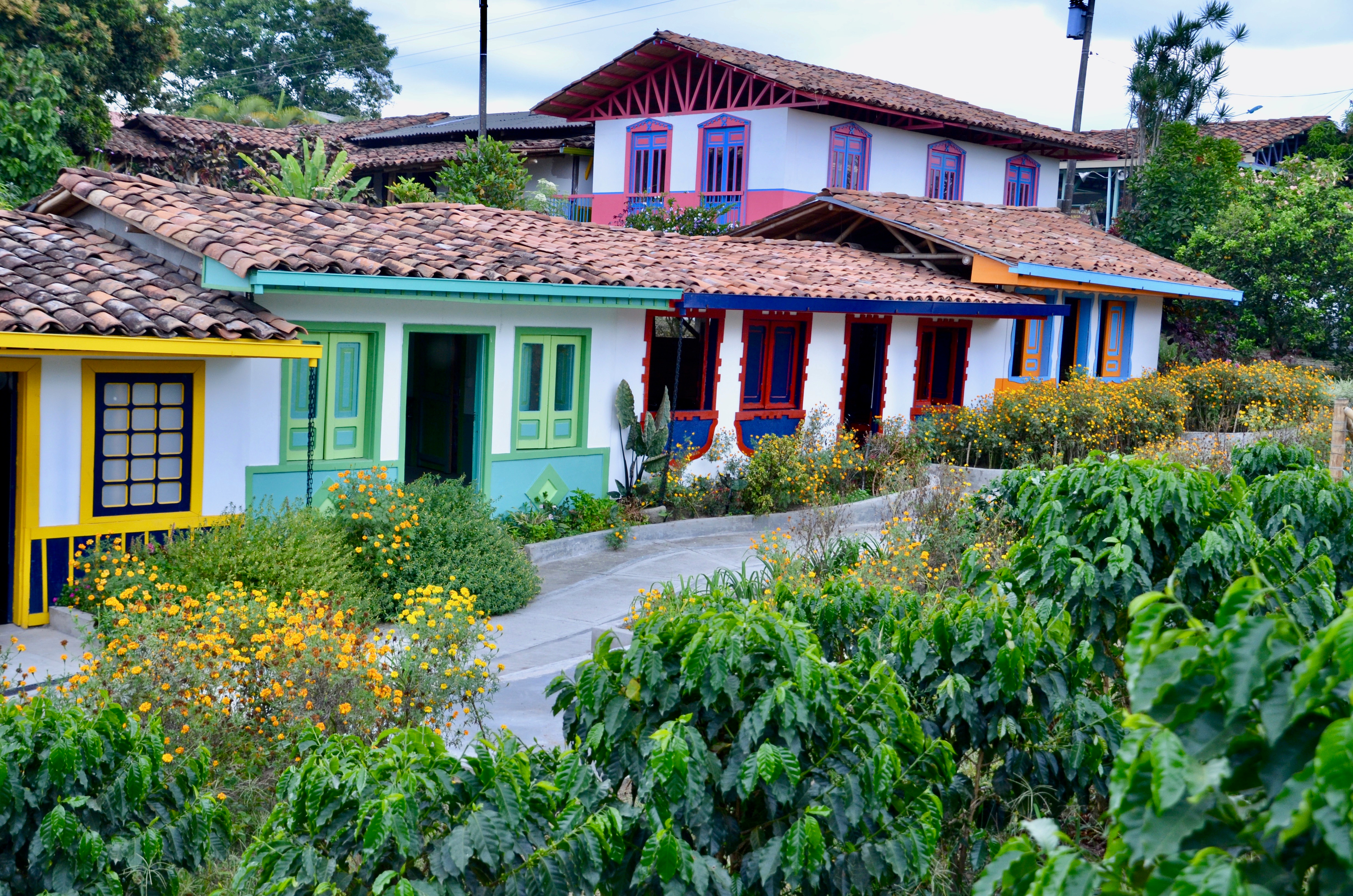 Imagen de circuito en Colombia - Circuito Armenia