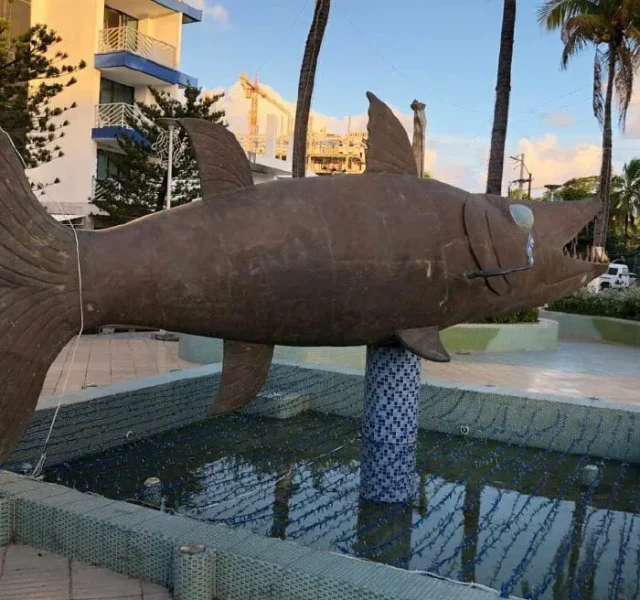 barracuda