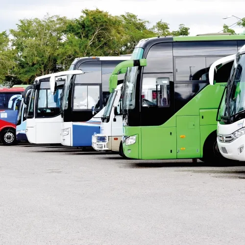 buses