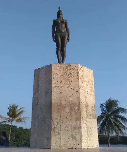 india catalina