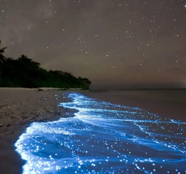 isla holbox