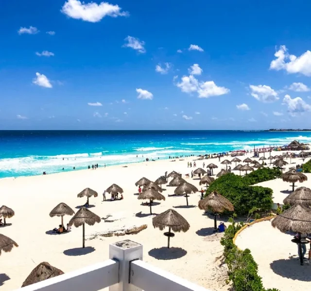 playa delfines