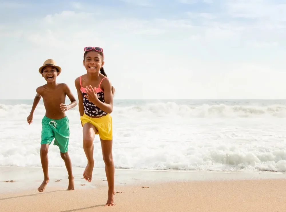 banner amr collection