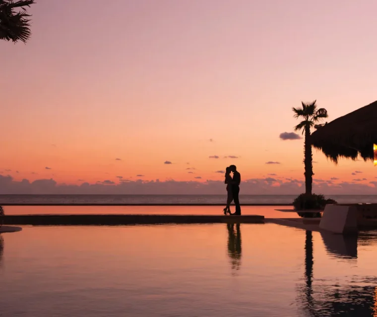 banner amr collection