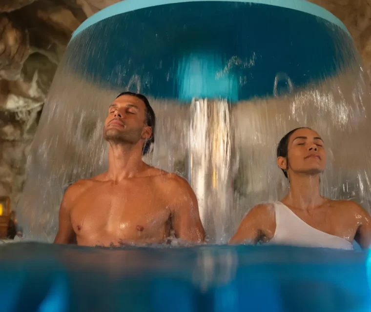 banner amr collection