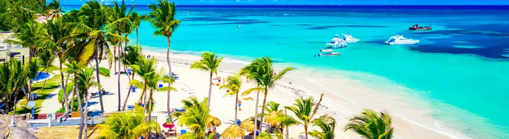 Imagen Banner Punta Cana