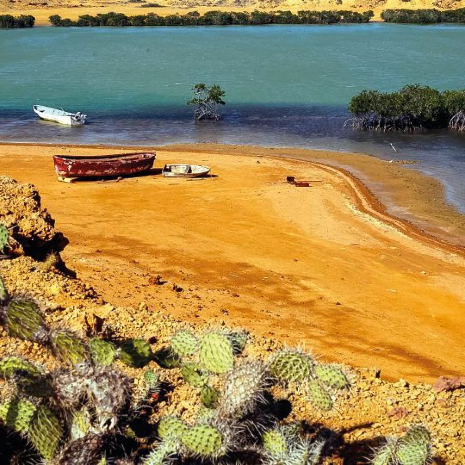 LG carrusel principal 2