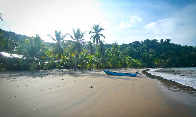 Bahia S LAC 4