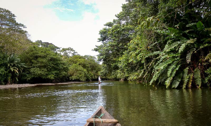 Bahia S LAC 5