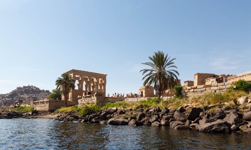 Encantos de Egipto LAC 5