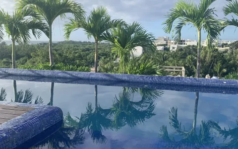 Carrusel Hoteles Polo 88 Apartamentos a pasos del Mar 4
