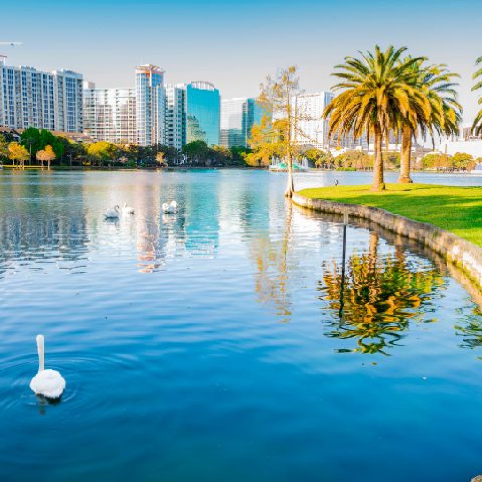 Orlando Encantado LAC 1