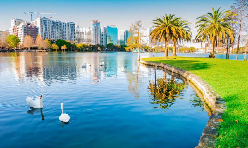 Orlando Encantado LAC 1