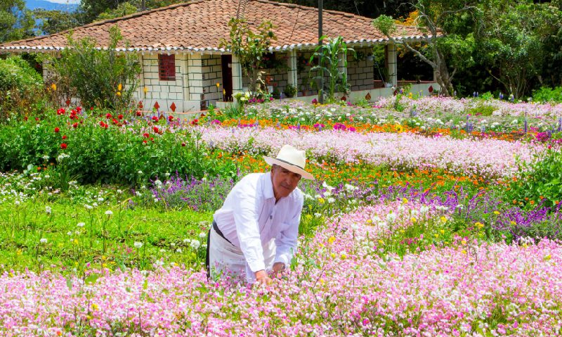 Feria de Flores LAC 2