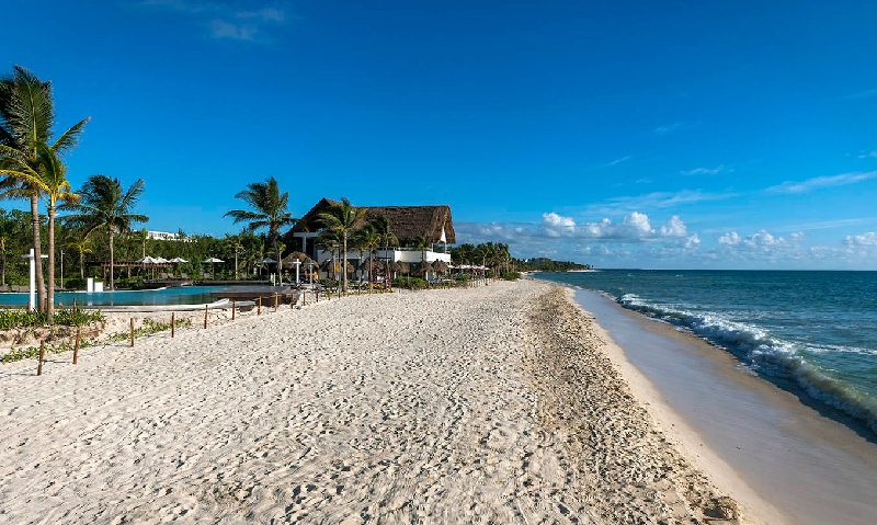 Ocean Paradise LAC 4