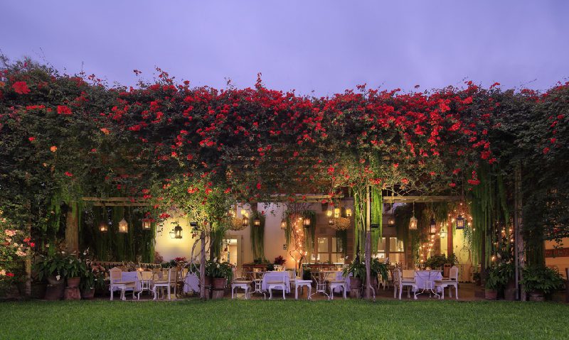 Lima Gourmet LAC 5