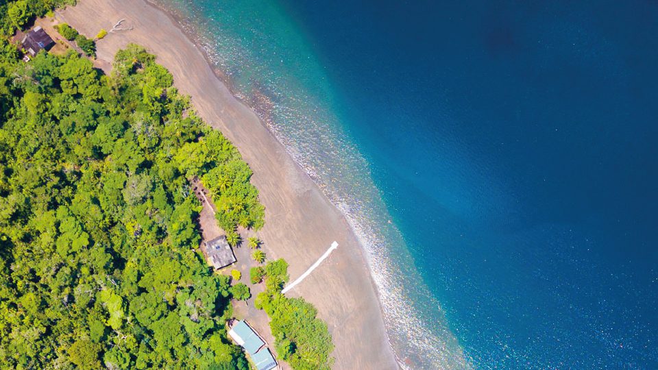 Bahía Solano Ballenas CP 6