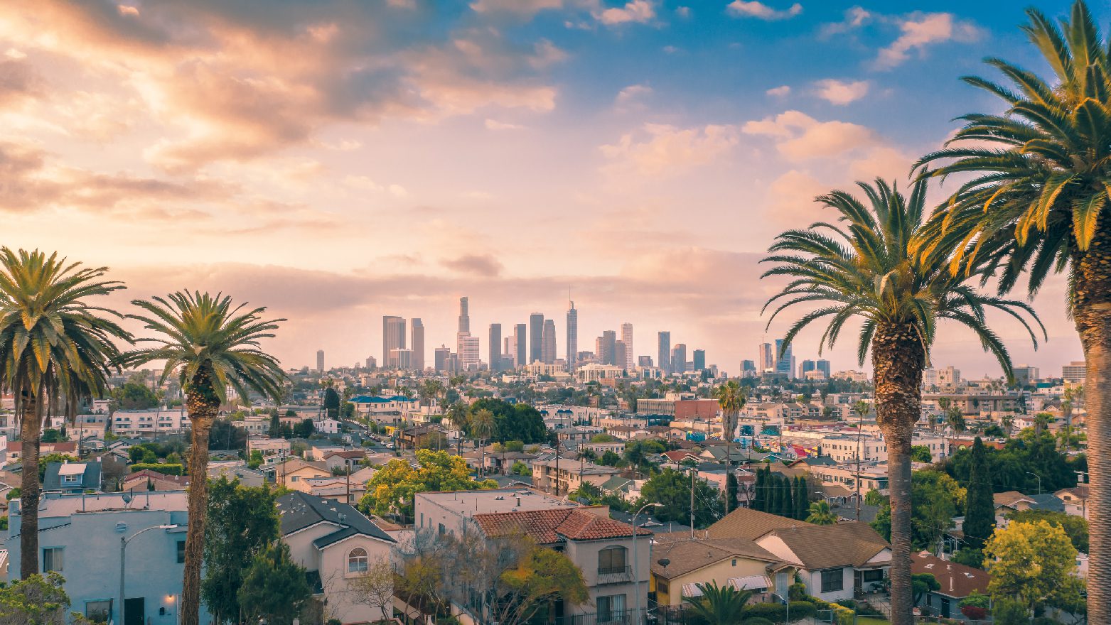 Banner_Los_Angeles-01