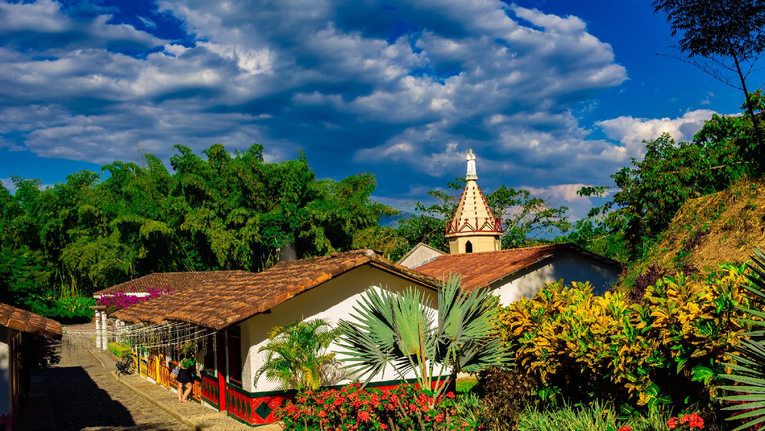 Eje Cafetero Experiencias CP 1