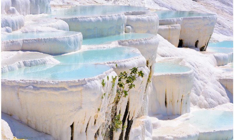 mares de turquia LAC 8