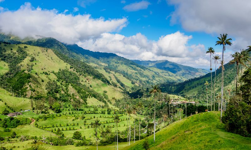 Eje Cafetero Experiencias LAC 5