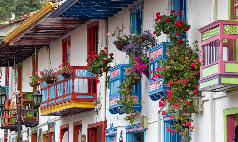 Eje Cafetero Experiencias LAC 4