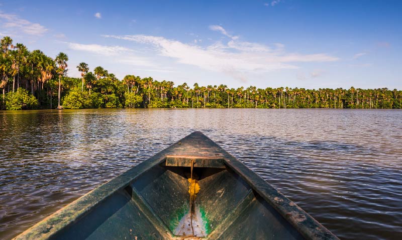 Amazonas LAC 4