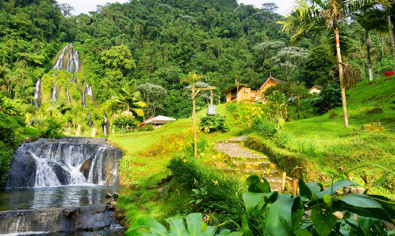 Eje Cafetero Experiencias LAC 6