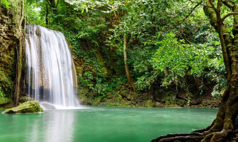 Tailandia y Phuket LAC 6