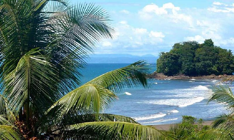 Plan Ballenas LAC 3