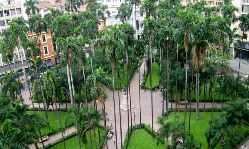 Cali Pachanguero LAC 9