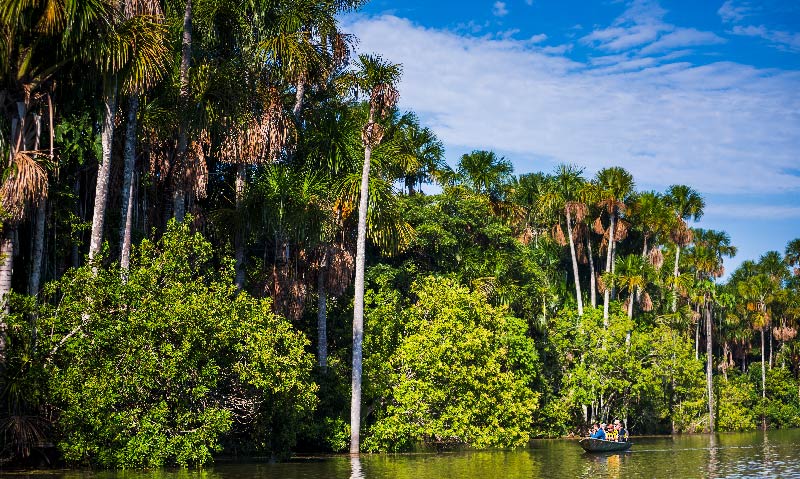 Amazonas LAC 5