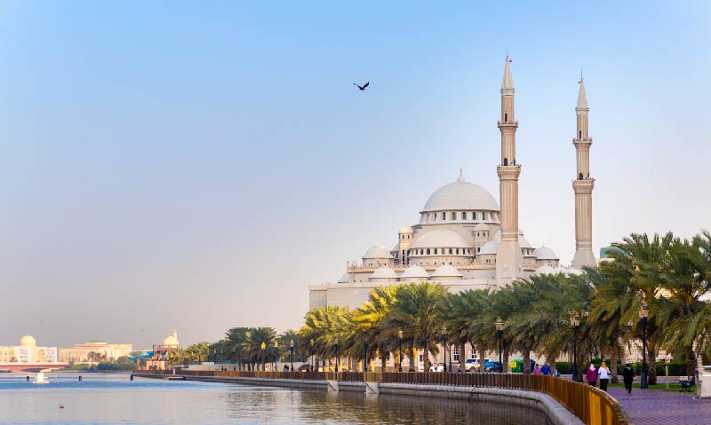 Verano en Dubai LAC 5