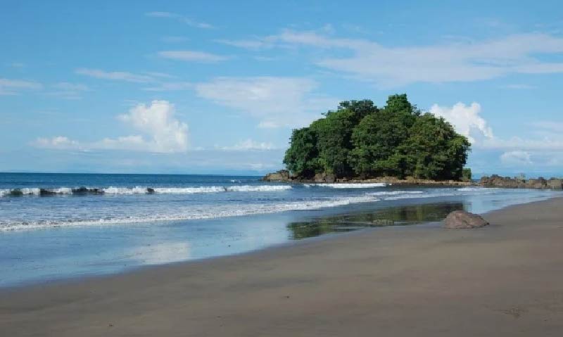 Plan Ballenas LAC 5
