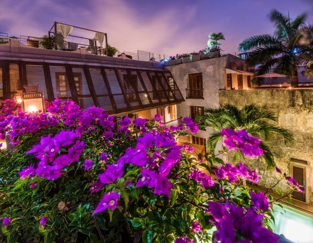 Carrusel Hoteles Ananda Hotel Boutique 5