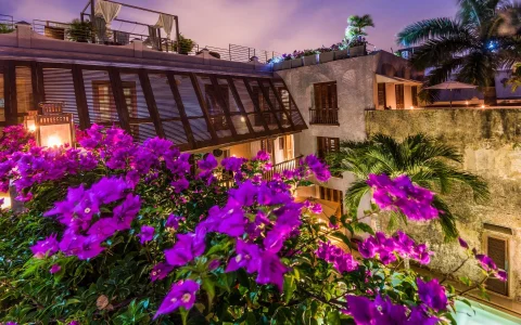 Carrusel Hoteles Ananda Hotel Boutique 5