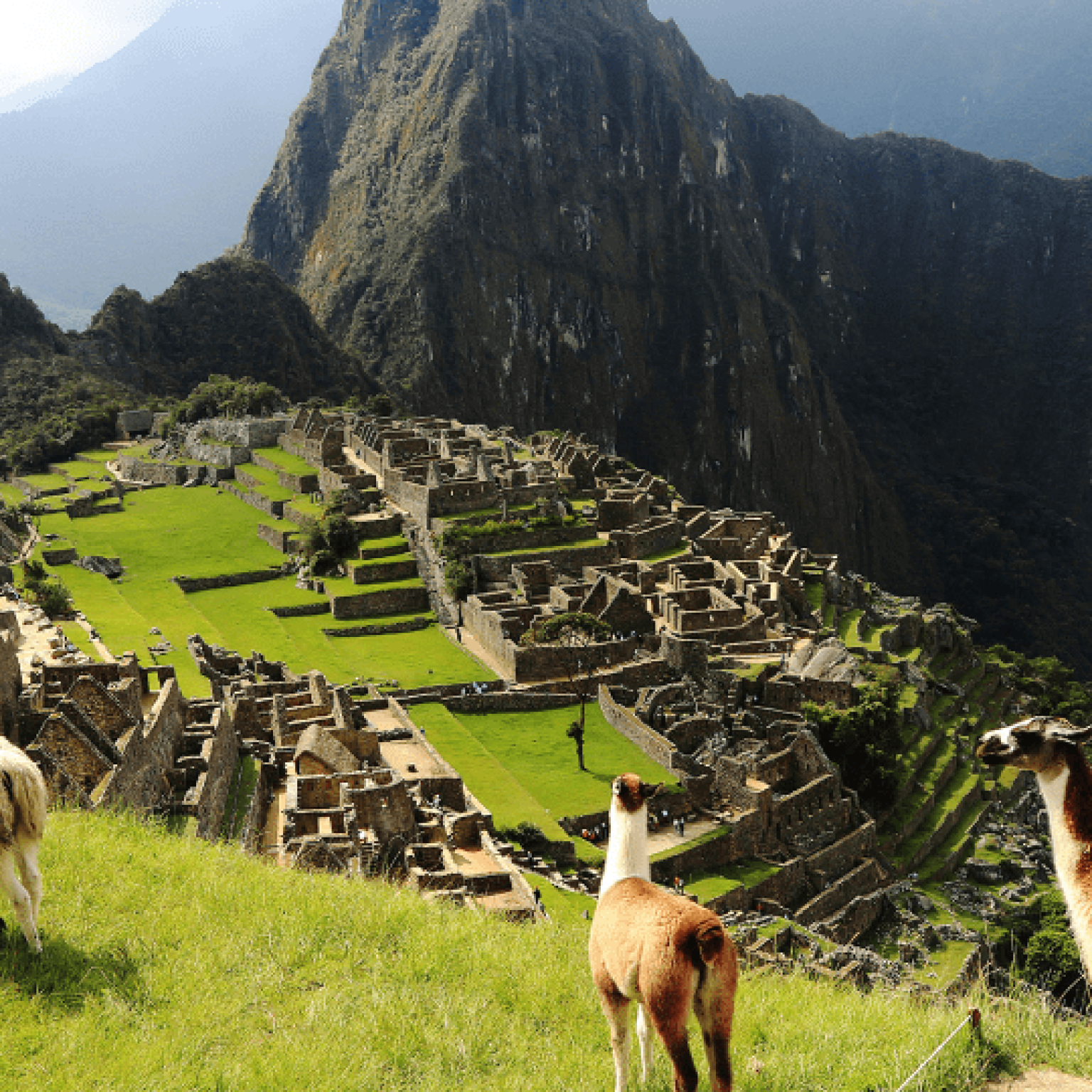 Amanecer Andino CP 3