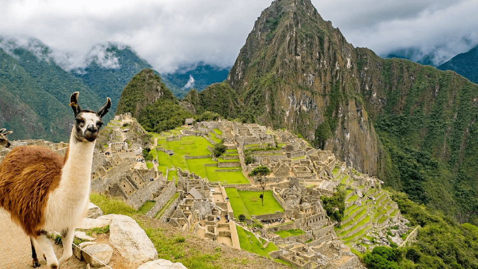 Despertar Machu Picchu CP 6