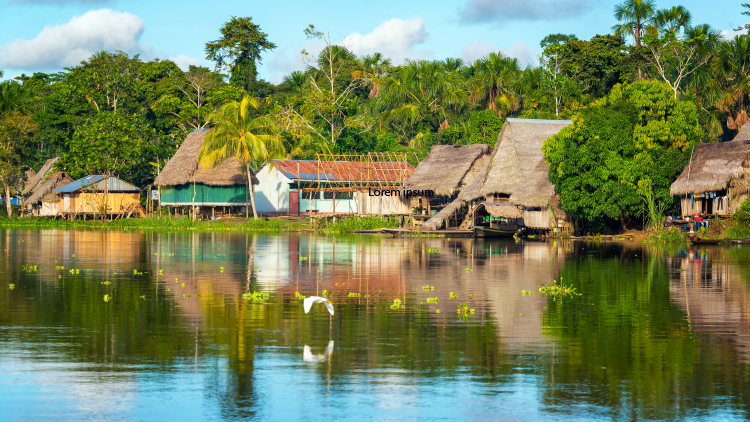 Amazonas CP 1