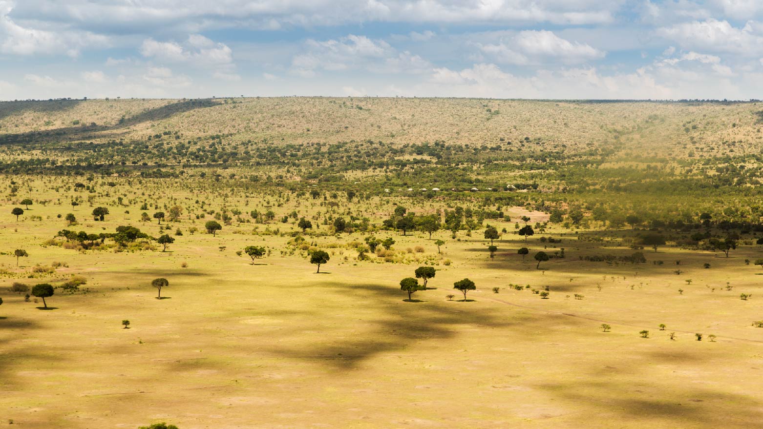Hakuna Matata CP 1