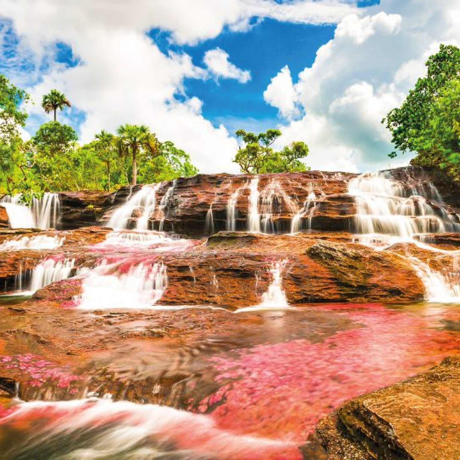 Caño Cristales CP 2