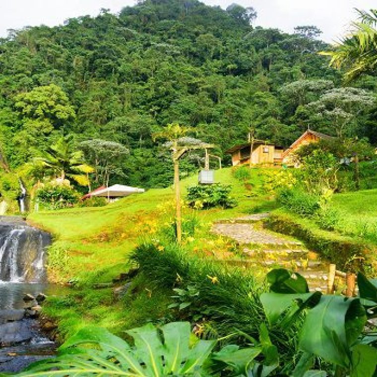 Lo Mejor Del Eje Cafetero CP 2