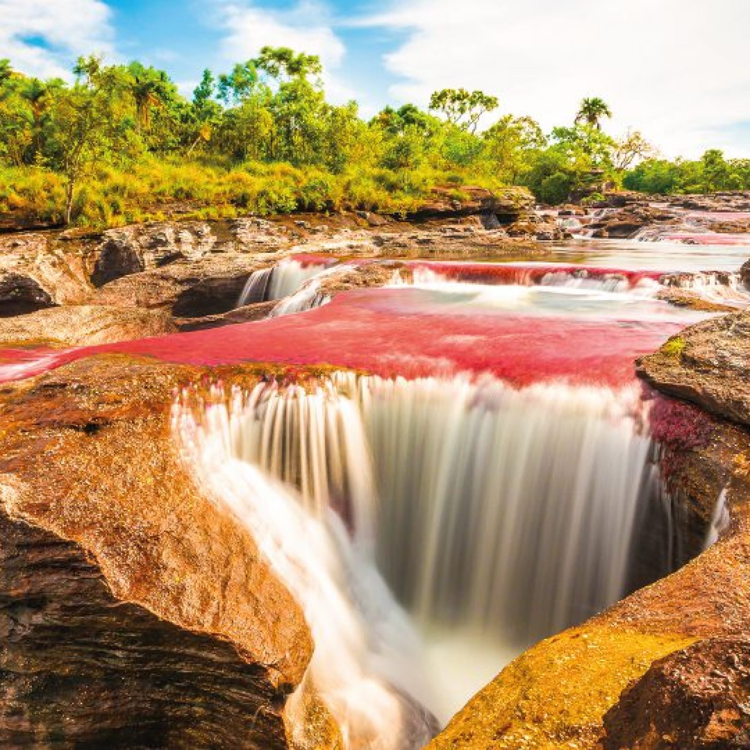 Caño Cristales CP 3