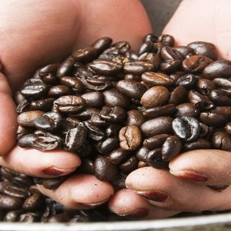 Lo Mejor Del Eje Cafetero CP 3