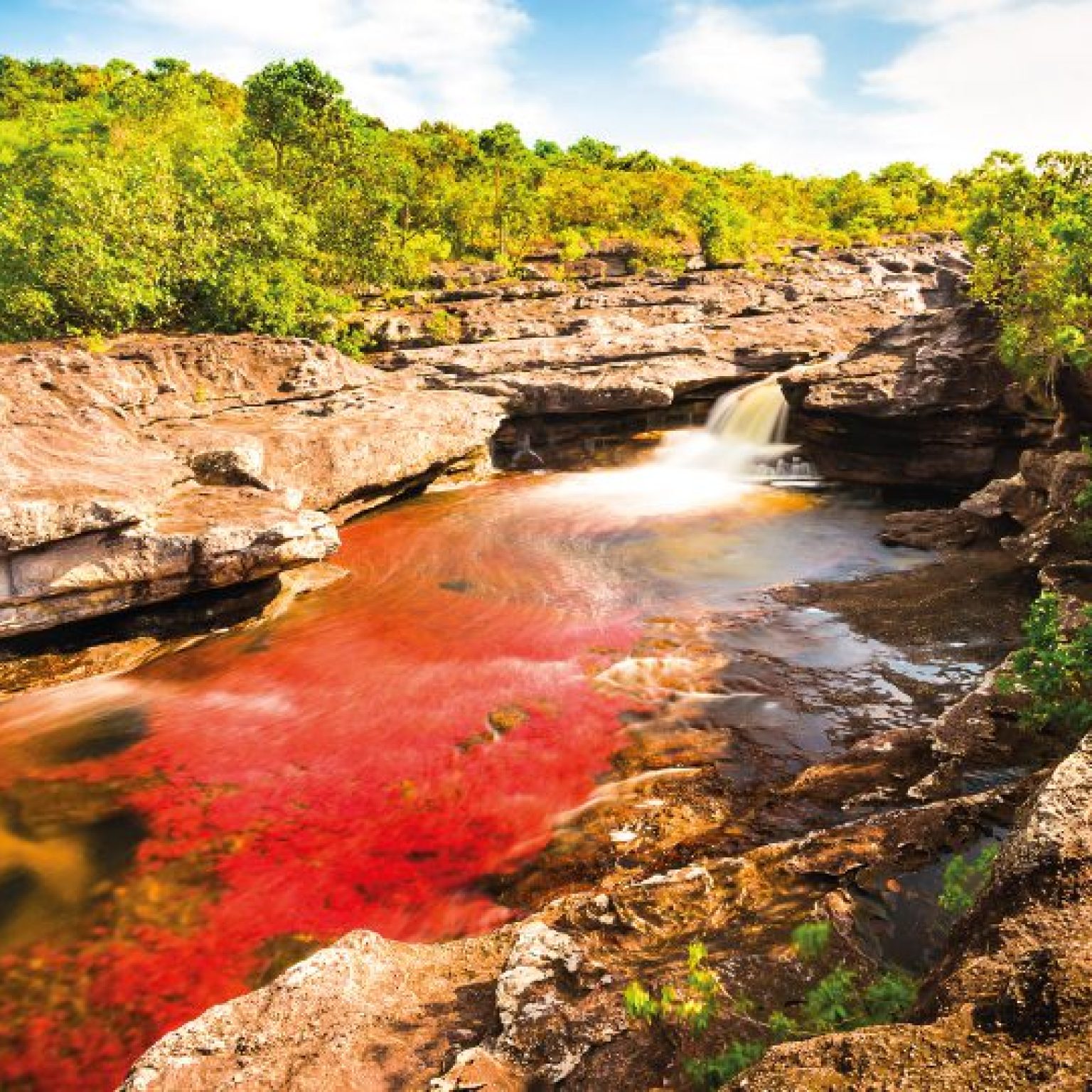 Caño Cristales CP 4